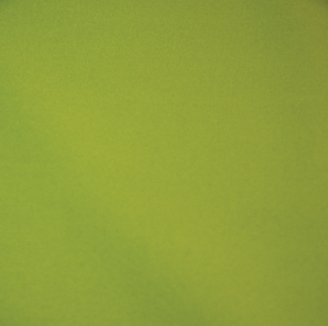 Close up of an apple green colored polyester tablecloth.